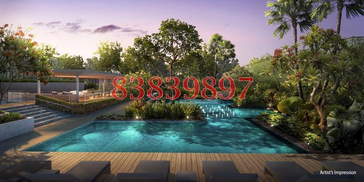 The Skywoods (D23), Condominium #78770262